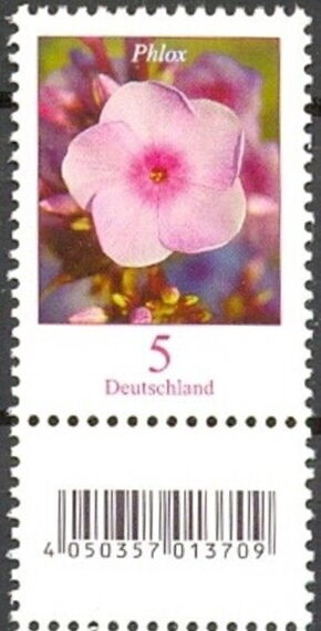 Phlox