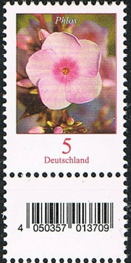 Phlox