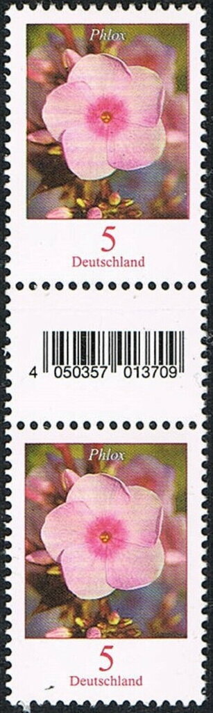 Phlox