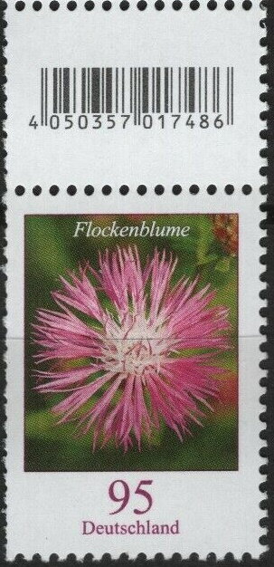 Starthistle (Centaurea sp.)