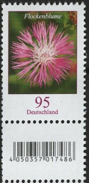 Starthistle (Centaurea sp.)