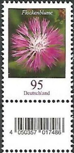 Starthistle (Centaurea sp.)