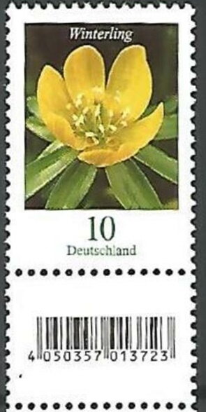 Winter Aconite (Eranthis hyemalis)
