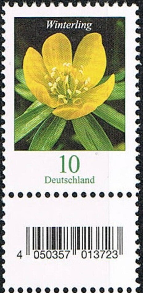 Winter Aconite (Eranthis hyemalis)