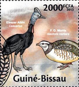 Stamp, Southern Cassowary (Casuarius casuarius), Barbary Partridge, Guinea-Bissau,  , Animals (Fauna), Birds
