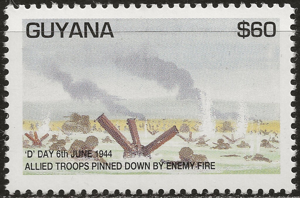 Allied troops pinned down by enemie fire