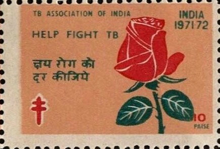 Red Rose