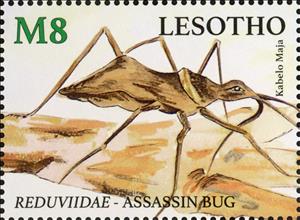 Stamp, Assassin Bug, Lesotho,  , Animals (Fauna), Insects