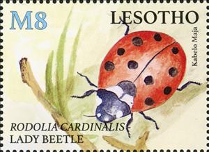 Stamp, Lady Beetle (Rodolia cardinalis), Lesotho,  , Animals (Fauna), Beetles, Insects