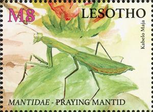 Stamp, Praying Mantid, Lesotho,  , Animals (Fauna), Insects