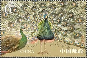 Stamp, Green Peafowl (Pavo muticus), China, People's Republic,  , Birds