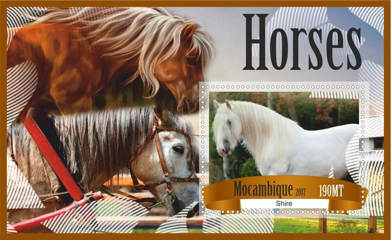 Horses