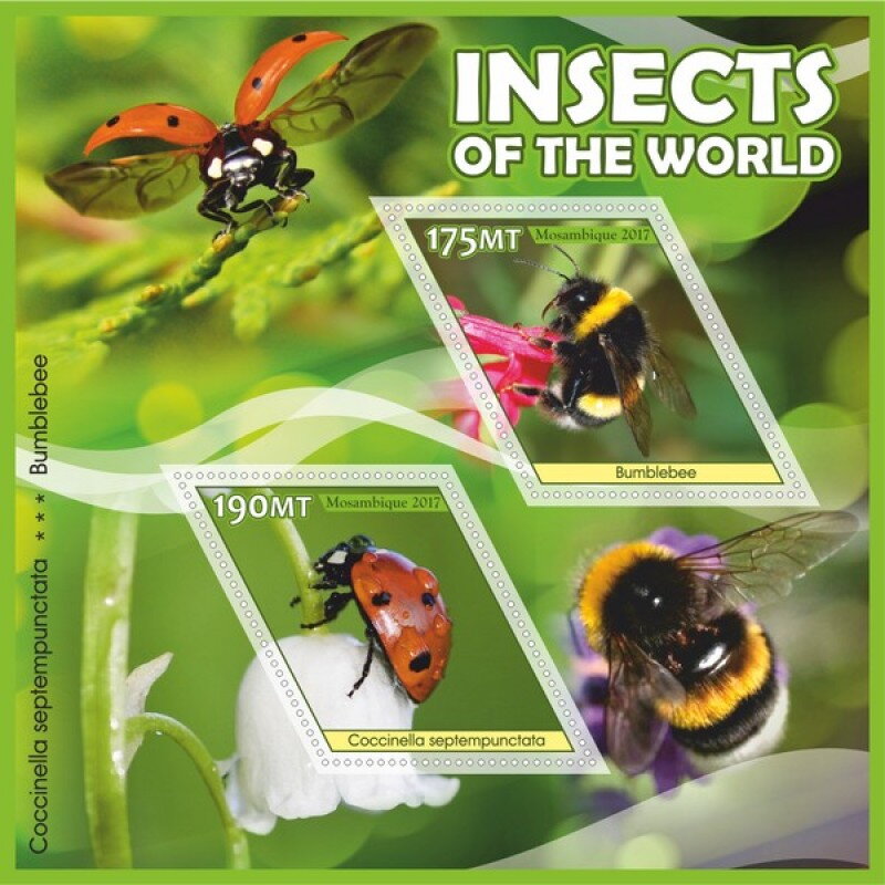 Insects of the World