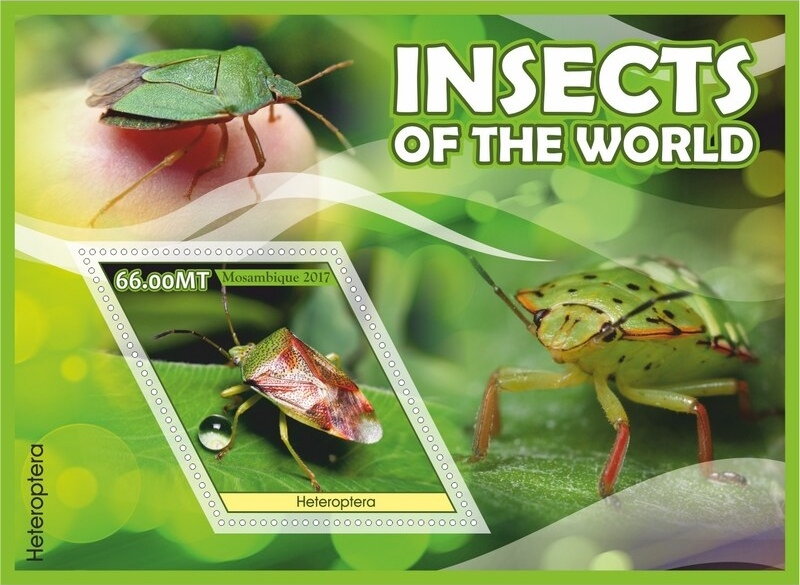 Insects of the World