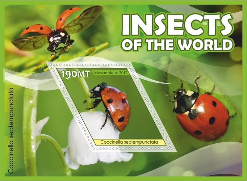 Insects of the World