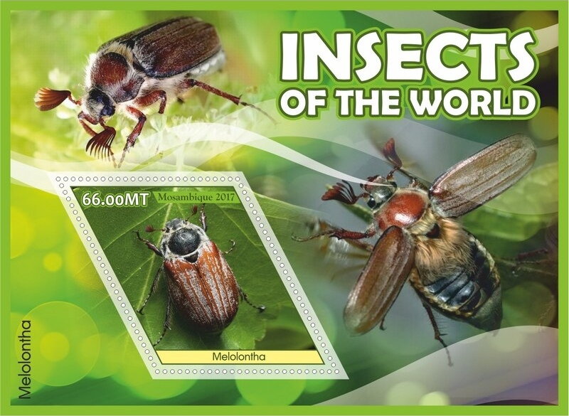 Insects of the World