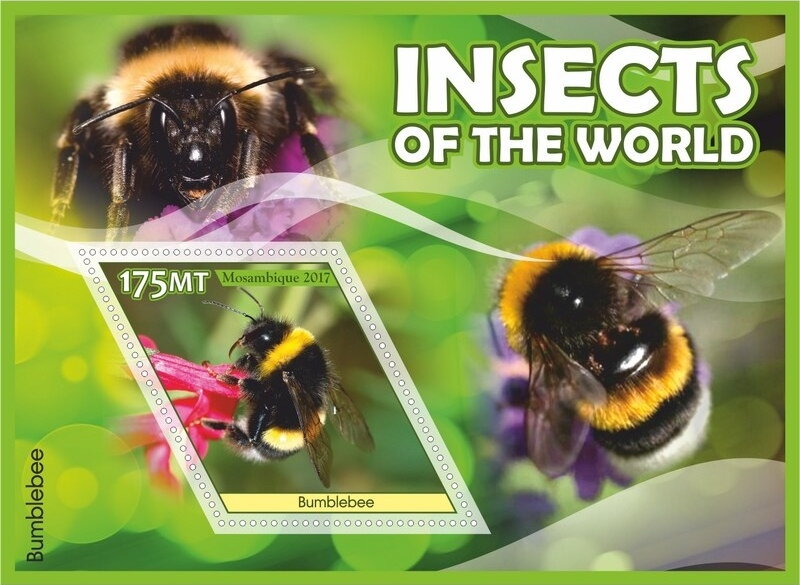 Insects of the World
