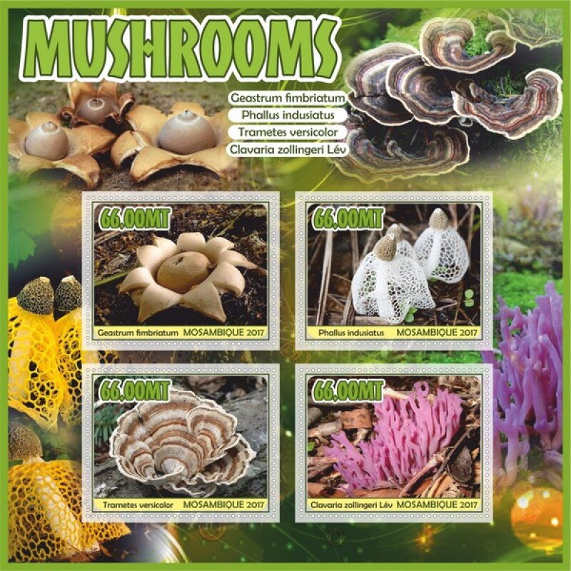 Mushrooms