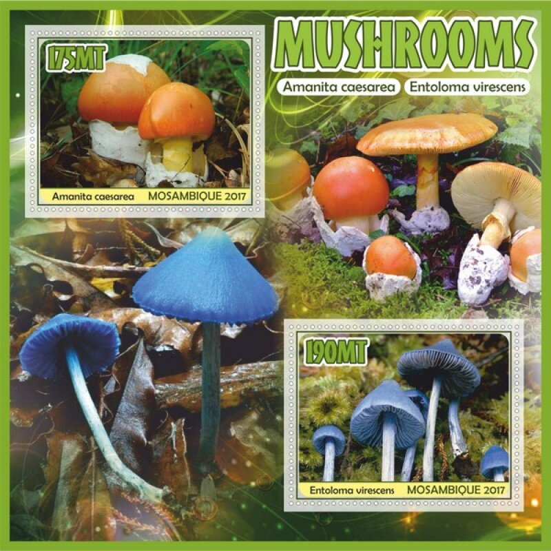 Mushrooms