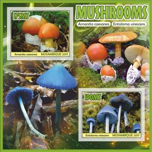 Mini Sheet, Mushrooms, Mozambique,  , Mushrooms
