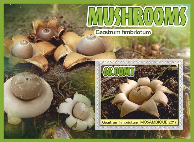 Mushrooms