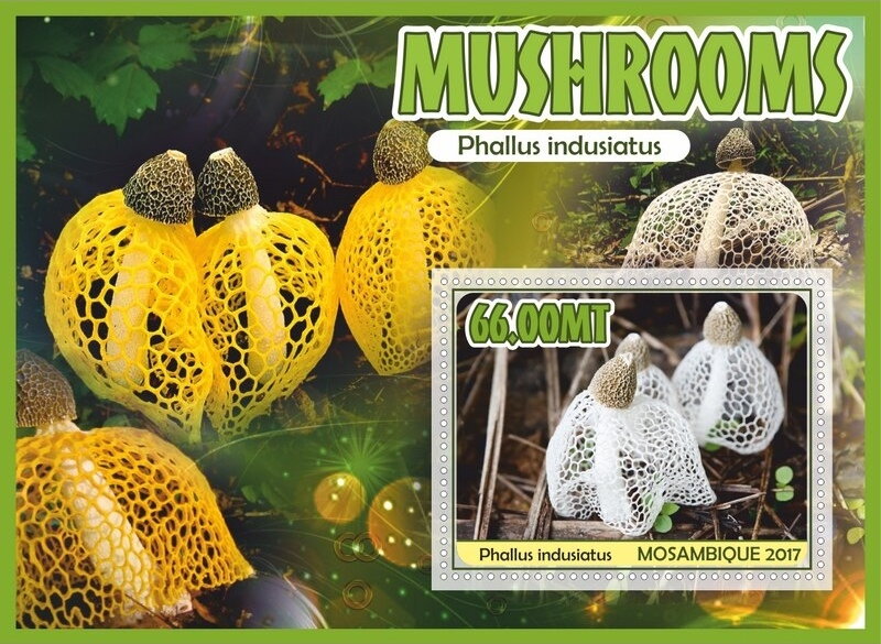 Mushrooms