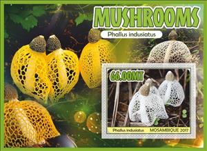 Souvenir Sheet, Mushrooms, Mozambique,  , Mushrooms