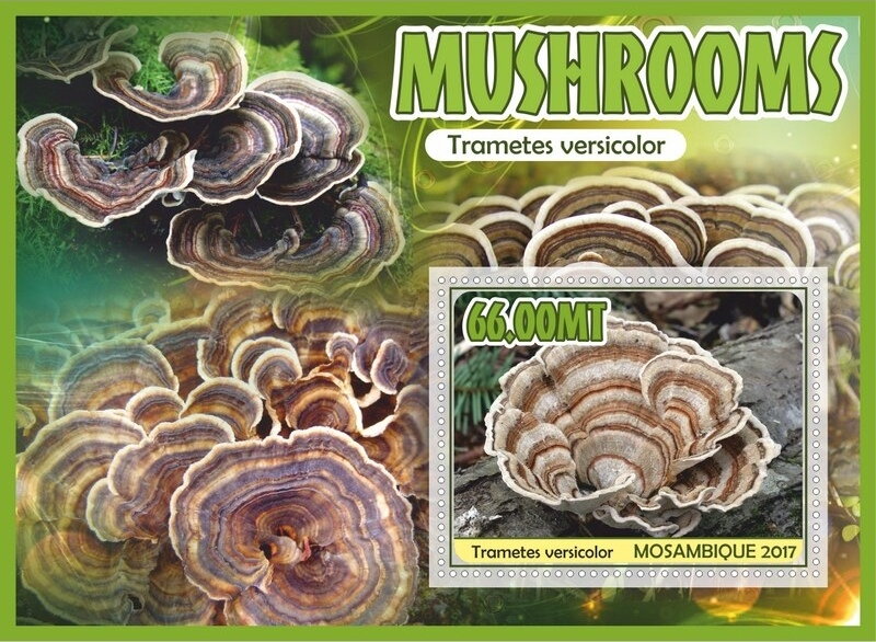 Mushrooms
