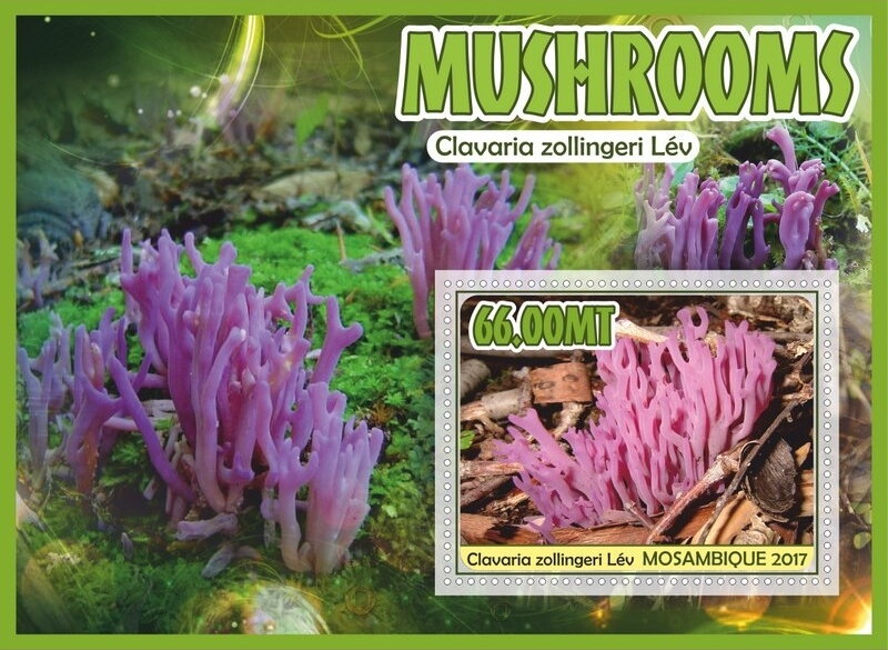Mushrooms