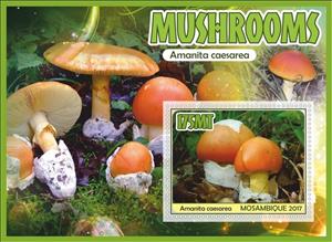 Souvenir Sheet, Mushrooms, Mozambique,  , Mushrooms