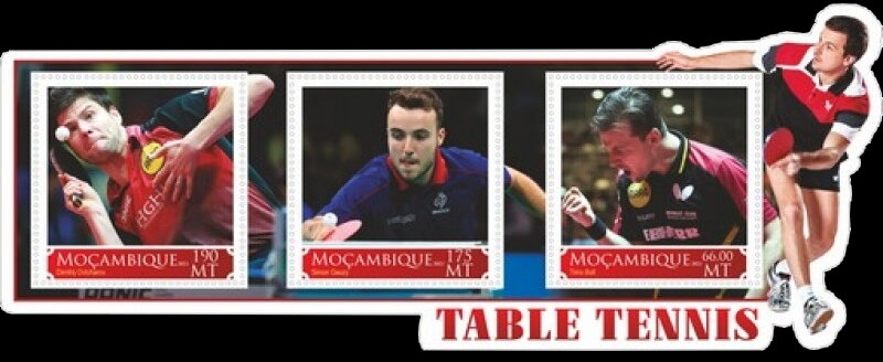 Table Tennis Players