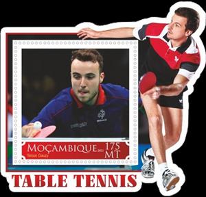 Souvenir Sheet, Table Tennis Players, Mozambique,  , Sports, Table Tennis