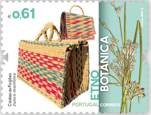 Forjães Baskets and Juncus maritimus