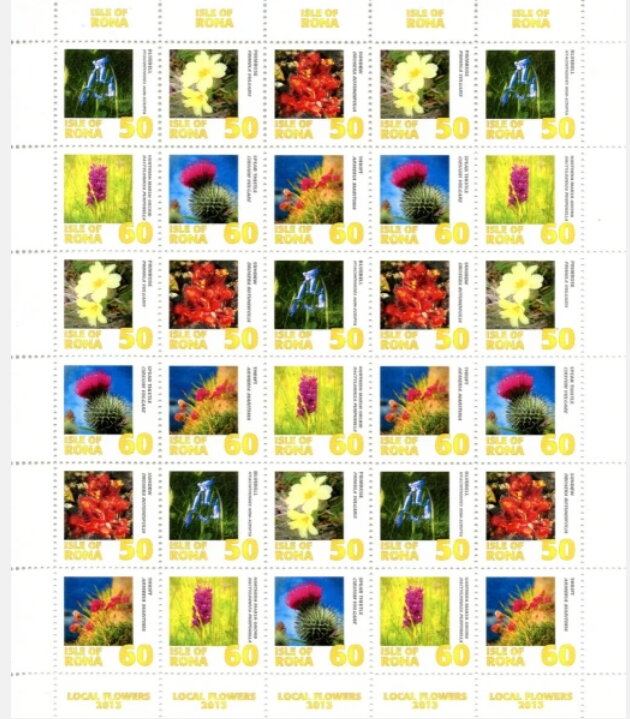 Isle of Rona. Wild Flowers