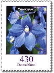 Field larkspur