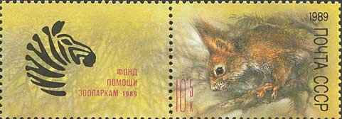 Eurasian Red Squirrel (Sciurus vulgaris)