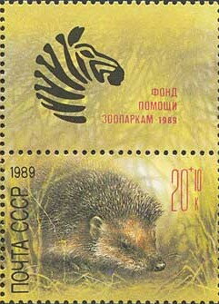West European Hedgehog (Erinaceus europaeus)