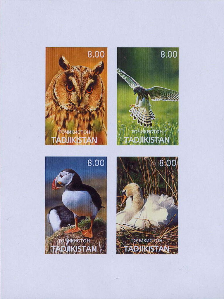 Birds