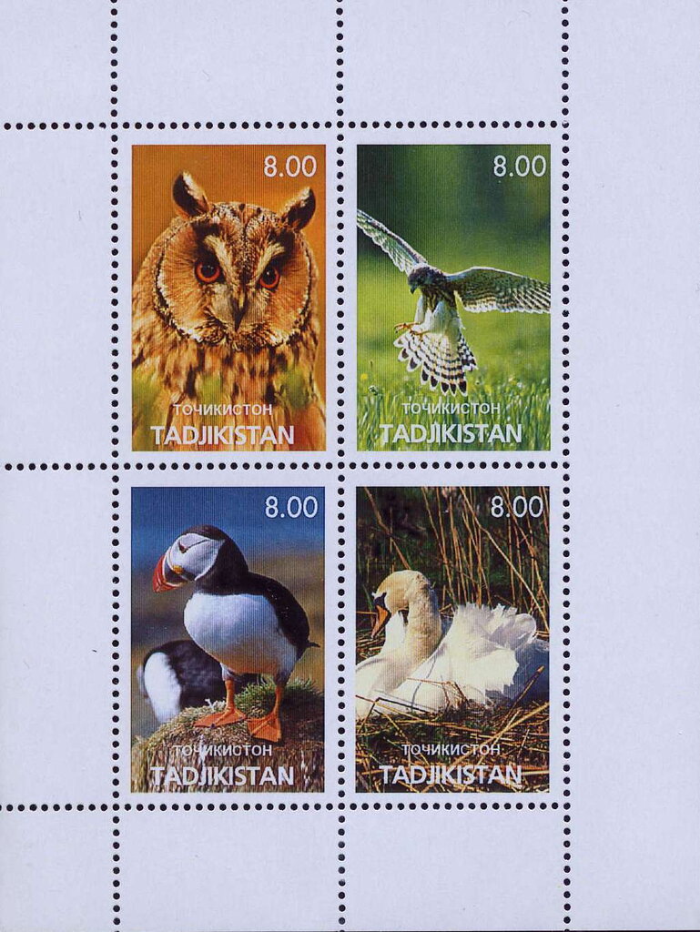 Birds