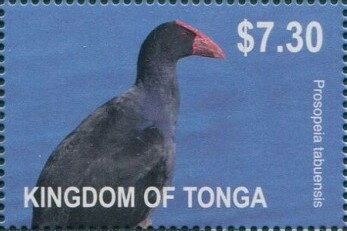 "Prosopeia tabuensis"