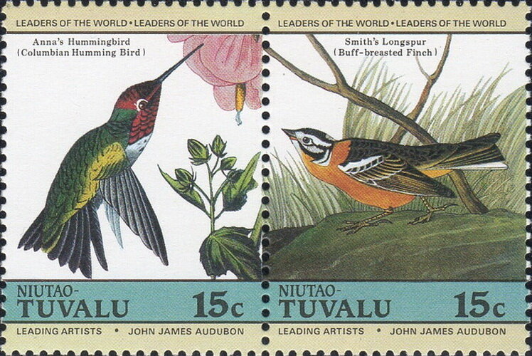Birds