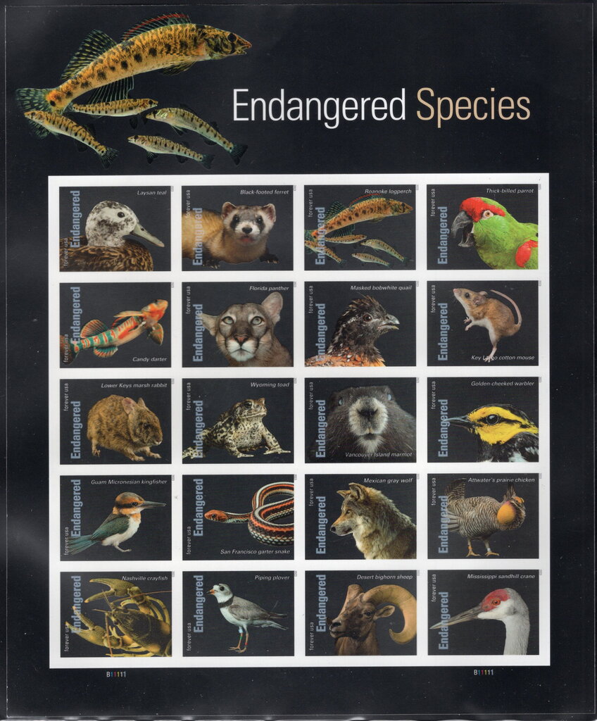 Endangered Species No Die Cut