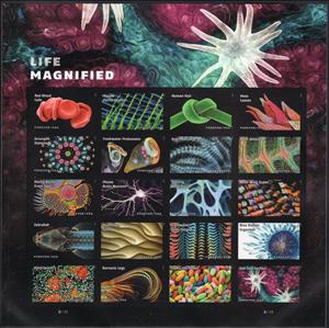 Full Pane, Life Magnified Imperf, United States of America,  , Animals (Fauna), Crustaceans, Feathers, Leaves, Mosses, Plants (Flora), Science, Sea Life