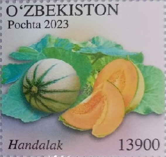 Cantaloupe