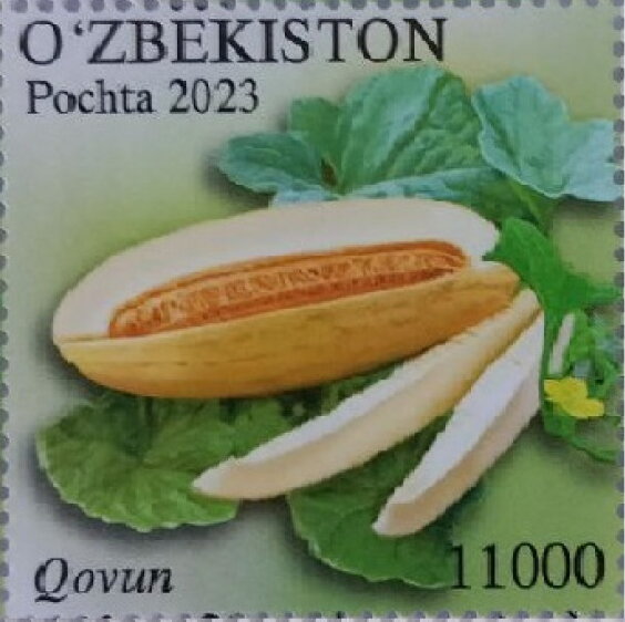 Muskmelon