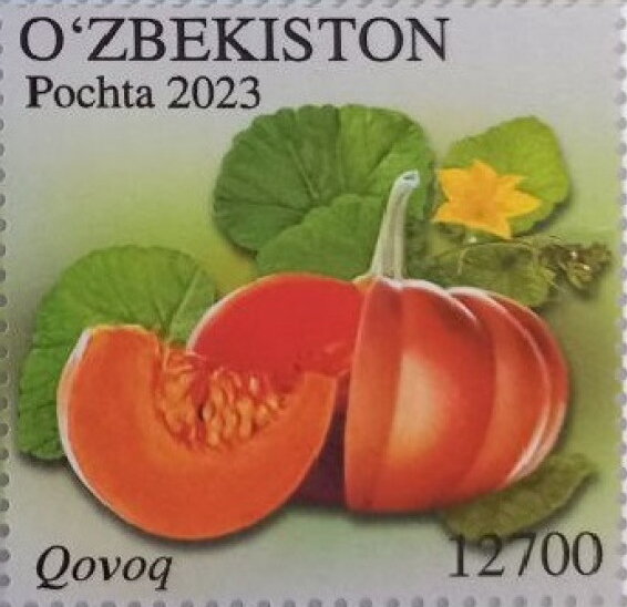 Pumpkin