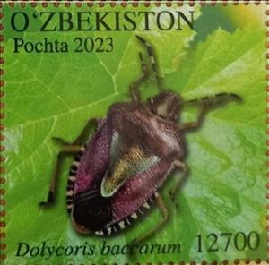 Stamp, Sloe Bug (Dolycoris baccarum), Uzbekistan,  , Animals (Fauna), Insects