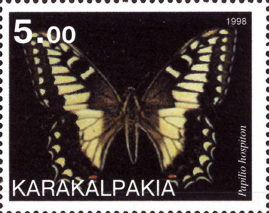 Papilio hospiton
