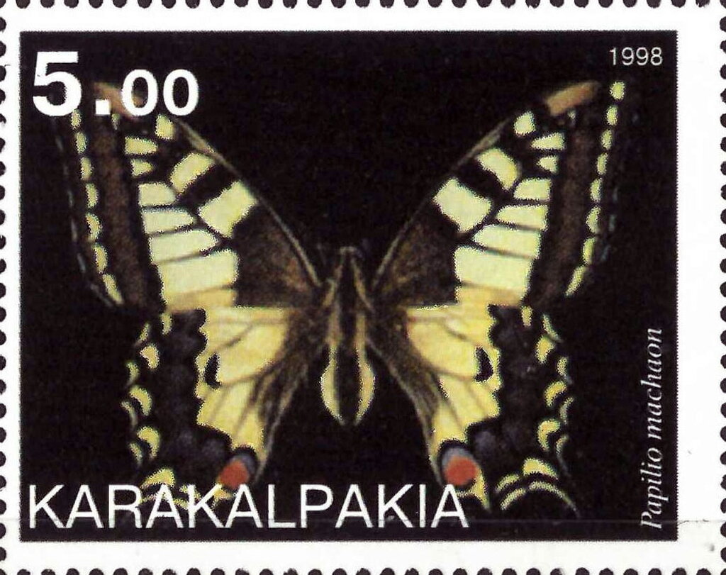 Papilio machaon