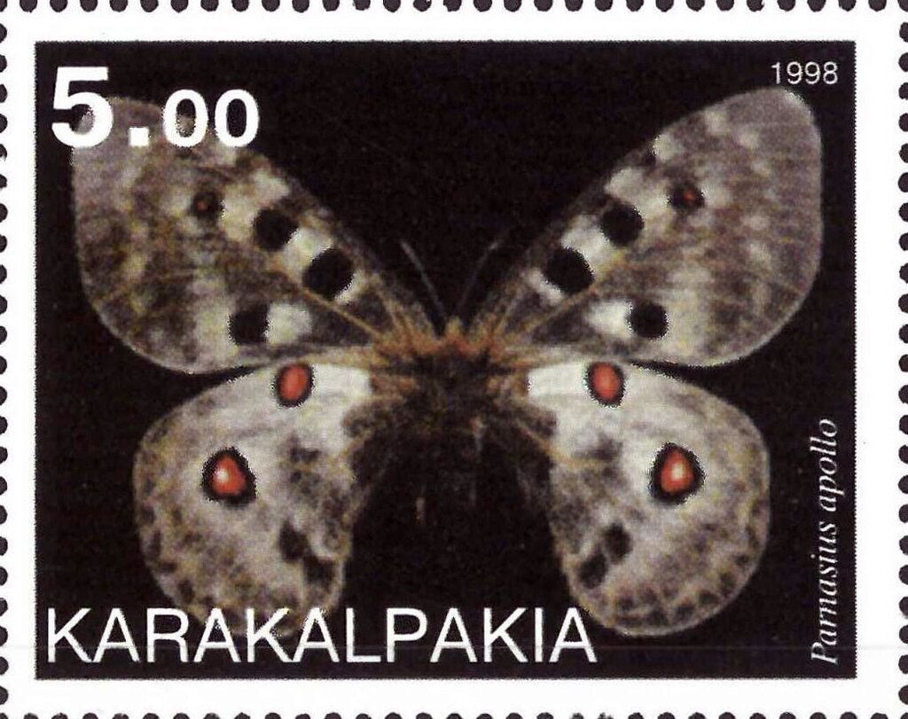 Parnassius apollo